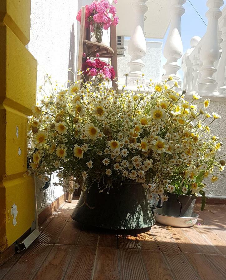 Limon Pansiyon Foca Exterior photo